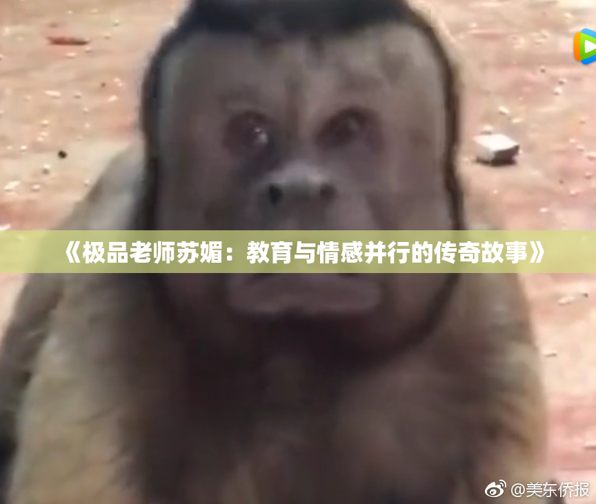 《极品老师苏媚：教育与情感并行的传奇故事》