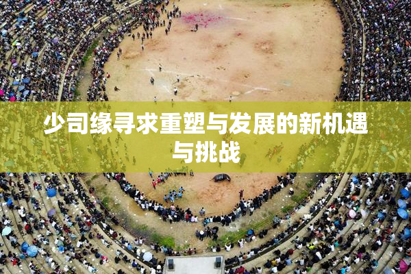 少司缘寻求重塑与发展的新机遇与挑战
