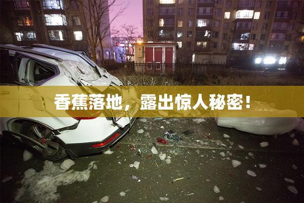 香蕉落地，露出惊人秘密！