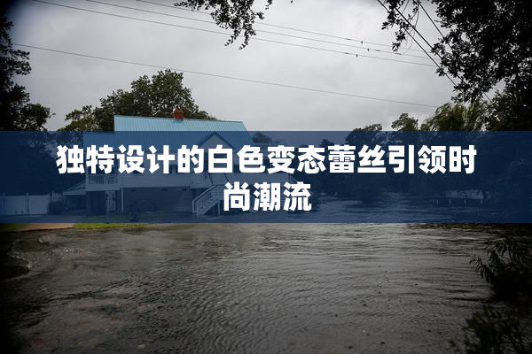 独特设计的白色变态蕾丝引领时尚潮流