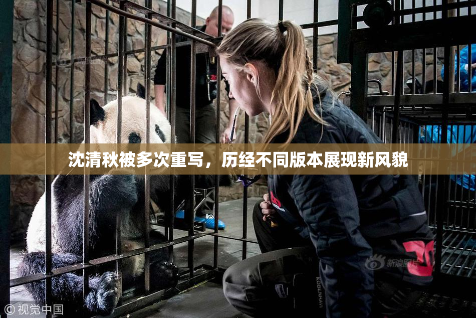 沈清秋被多次重写，历经不同版本展现新风貌