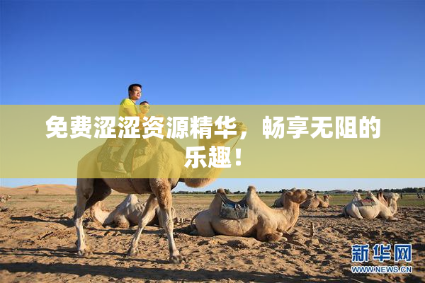 免费涩涩资源精华，畅享无阻的乐趣！