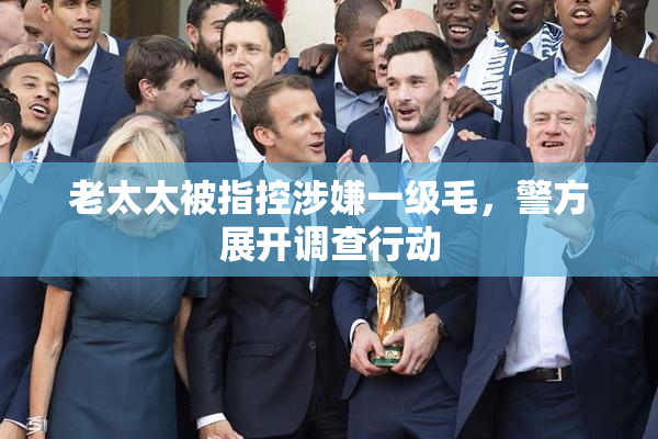 老太太被指控涉嫌一级毛，警方展开调查行动