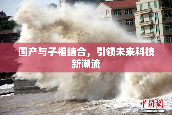 国产与子相结合，引领未来科技新潮流