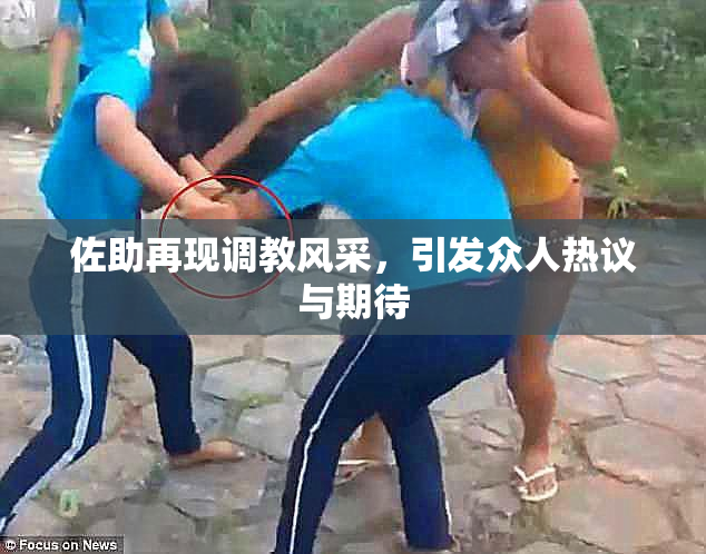 佐助再现调教风采，引发众人热议与期待