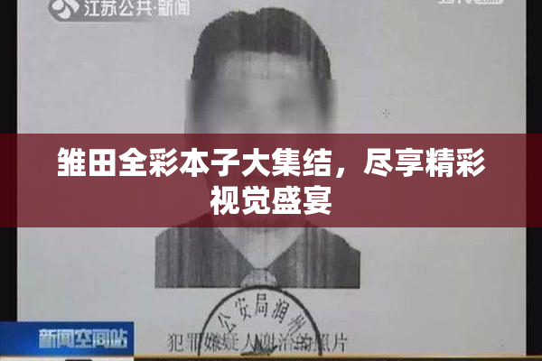 雏田全彩本子大集结，尽享精彩视觉盛宴