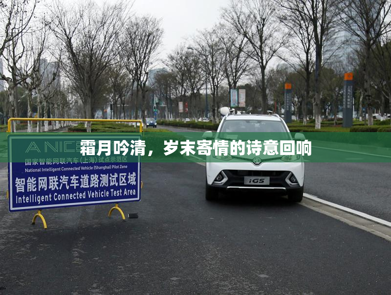 霜月吟清，岁末寄情的诗意回响