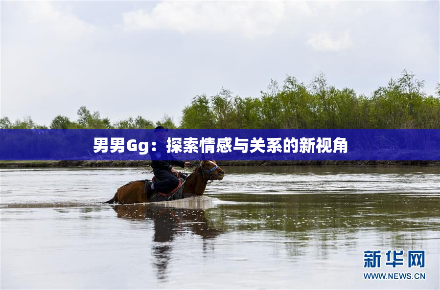 男男Gg：探索情感与关系的新视角