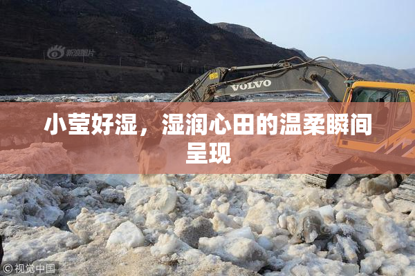 小莹好湿，湿润心田的温柔瞬间呈现