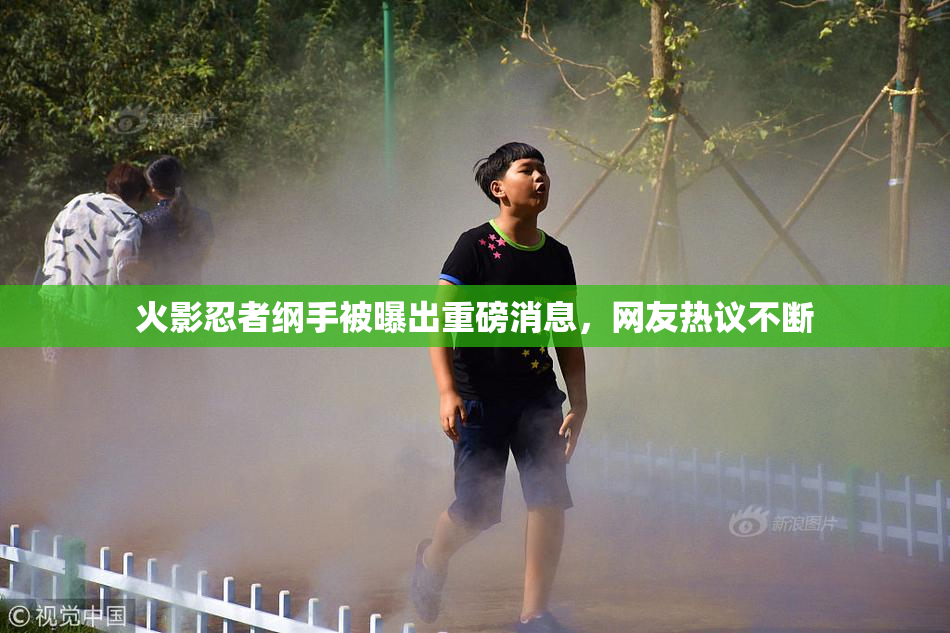 火影忍者纲手被曝出重磅消息，网友热议不断