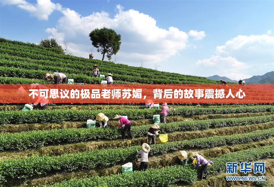 不可思议的极品老师苏媚，背后的故事震撼人心
