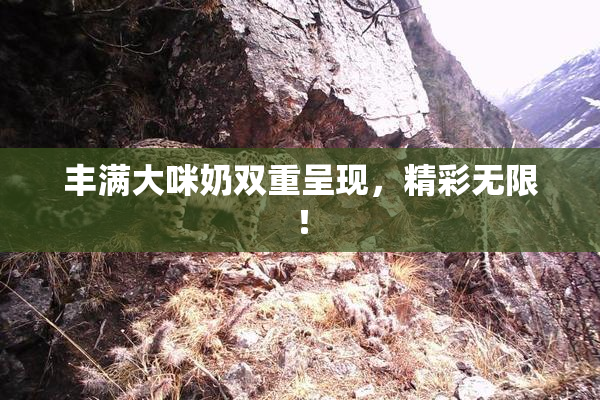 丰满大咪奶双重呈现，精彩无限！