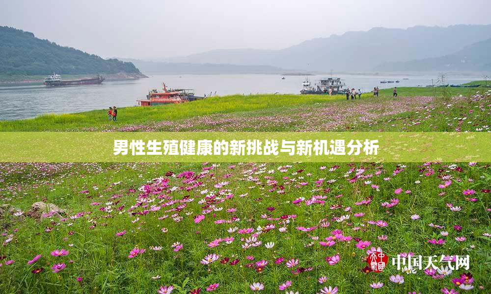 男性生殖健康的新挑战与新机遇分析
