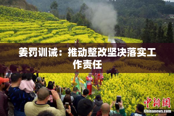 姜罚训诫：推动整改坚决落实工作责任