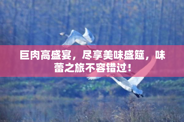 巨肉高盛宴，尽享美味盛筵，味蕾之旅不容错过！