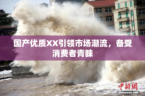 国产优质XX引领市场潮流，备受消费者青睐