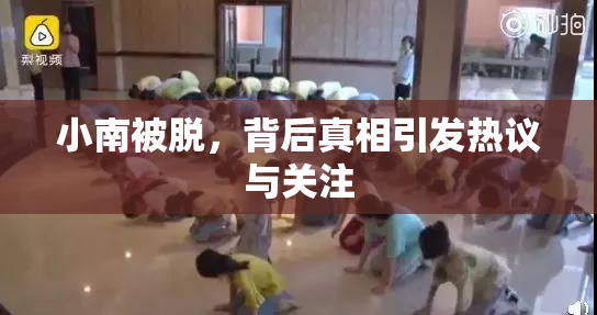 小南被脱，背后真相引发热议与关注