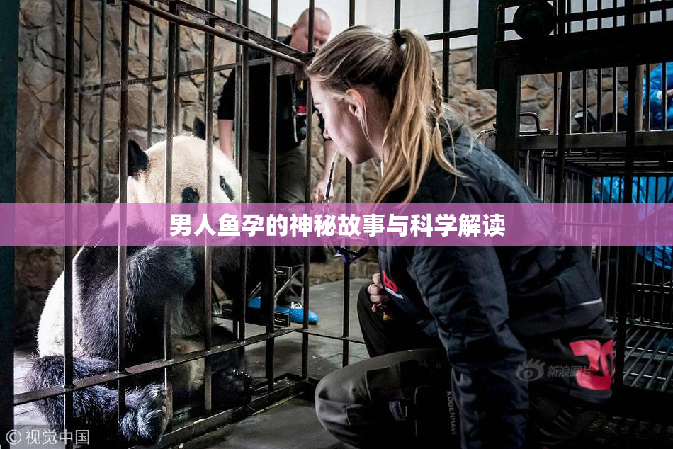男人鱼孕的神秘故事与科学解读