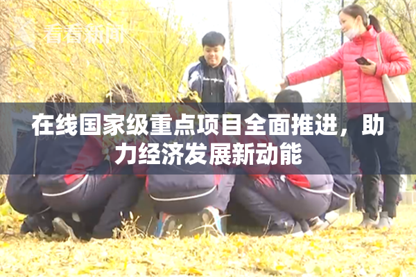 在线国家级重点项目全面推进，助力经济发展新动能