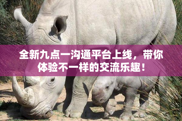 全新九点一沟通平台上线，带你体验不一样的交流乐趣！