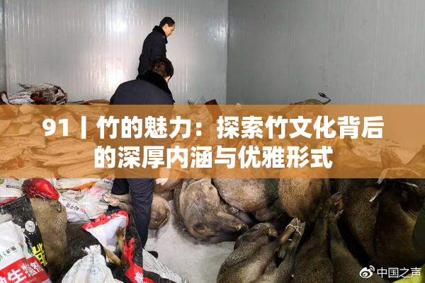 91丨竹的魅力：探索竹文化背后的深厚内涵与优雅形式