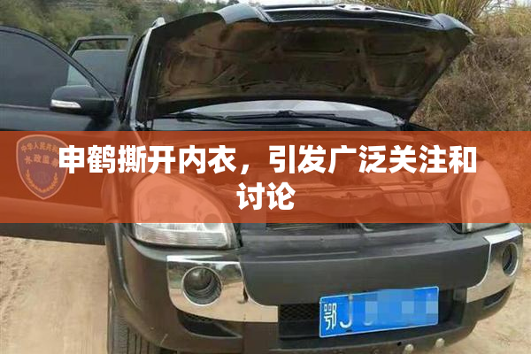 申鹤撕开内衣，引发广泛关注和讨论