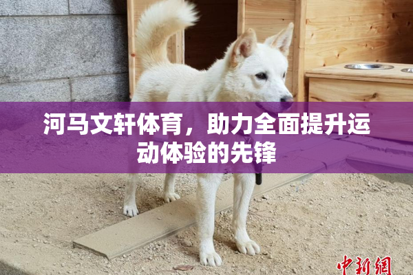 河马文轩体育，助力全面提升运动体验的先锋