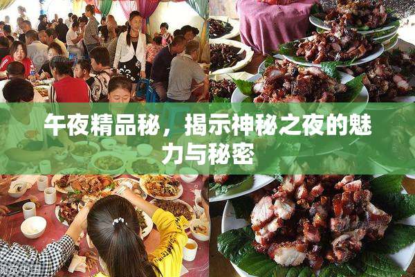 午夜精品秘，揭示神秘之夜的魅力与秘密