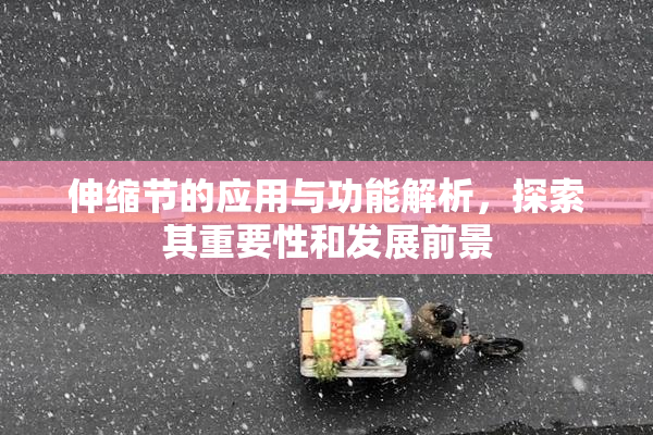 伸缩节的应用与功能解析，探索其重要性和发展前景