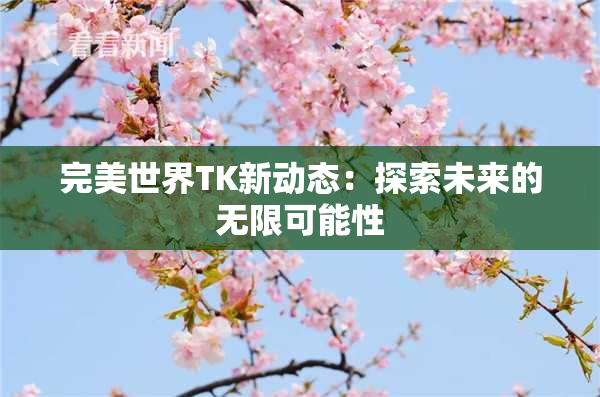 完美世界TK新动态：探索未来的无限可能性