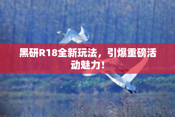 黑研R18全新玩法，引爆重磅活动魅力！