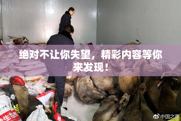 绝对不让你失望，精彩内容等你来发现！