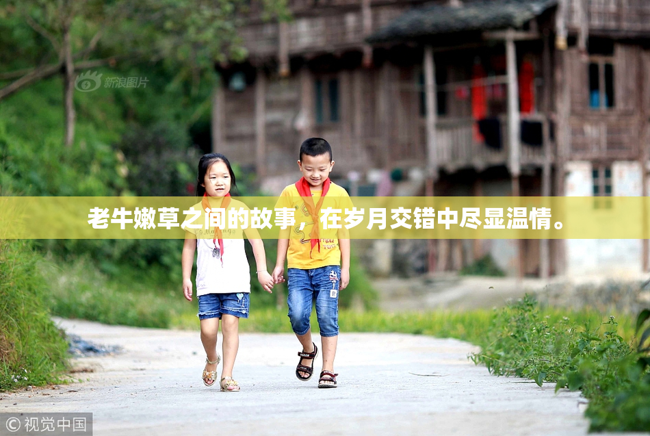 老牛嫩草之间的故事，在岁月交错中尽显温情。