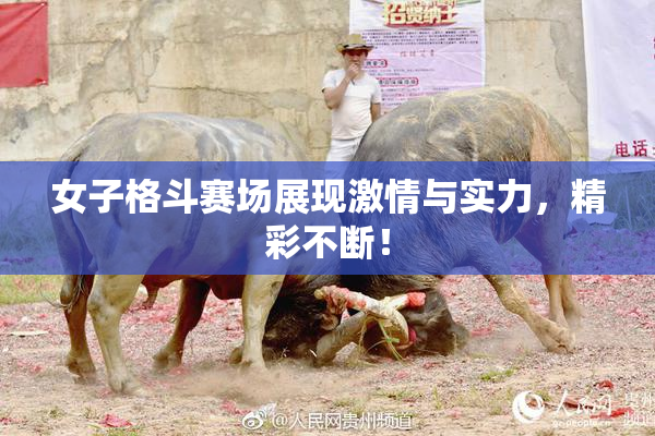 女子格斗赛场展现激情与实力，精彩不断！