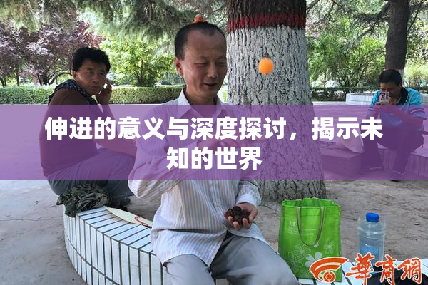 伸进的意义与深度探讨，揭示未知的世界