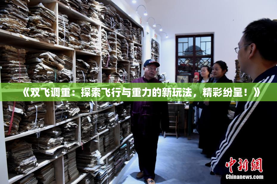 《双飞调重：探索飞行与重力的新玩法，精彩纷呈！》