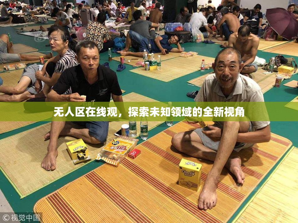 无人区在线观，探索未知领域的全新视角