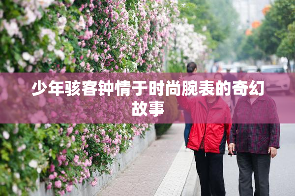 少年骇客钟情于时尚腕表的奇幻故事