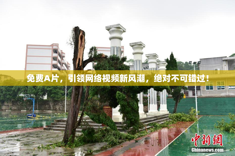免费A片，引领网络视频新风潮，绝对不可错过！