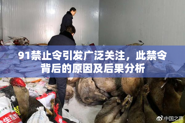 91禁止令引发广泛关注，此禁令背后的原因及后果分析