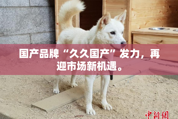 国产品牌“久久国产”发力，再迎市场新机遇。