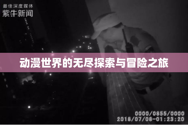 动漫世界的无尽探索与冒险之旅