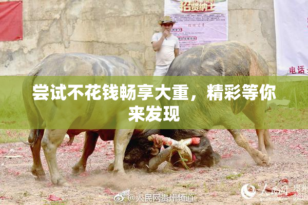 尝试不花钱畅享大重，精彩等你来发现