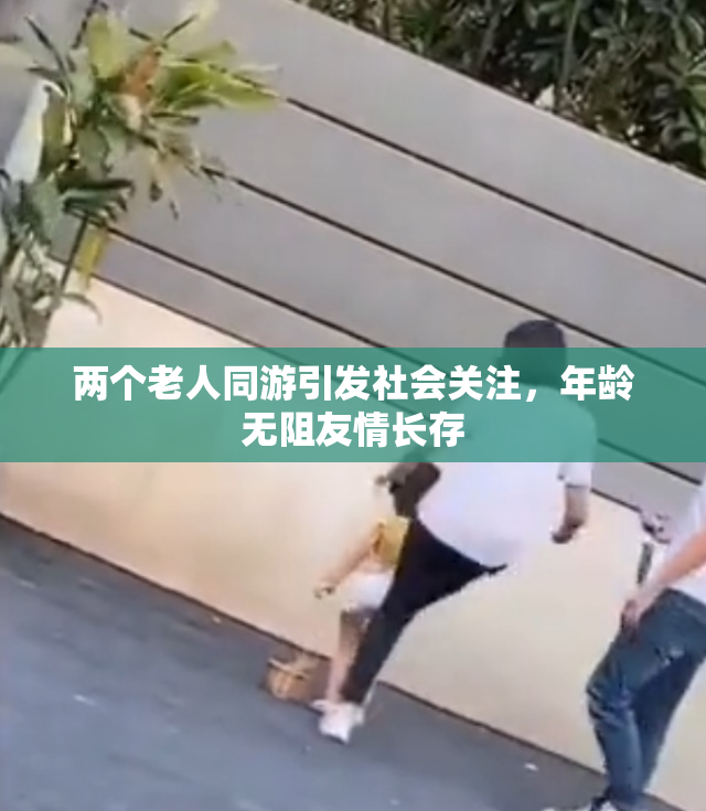 两个老人同游引发社会关注，年龄无阻友情长存