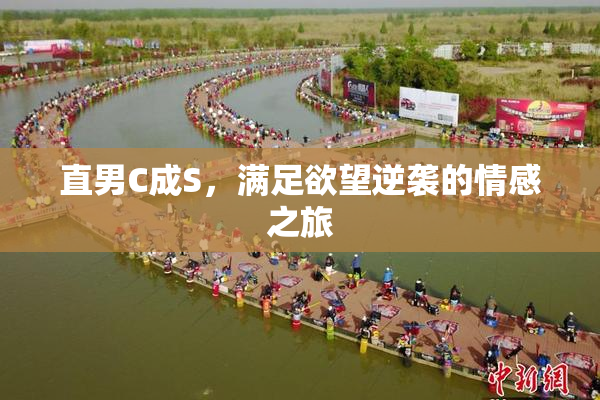 直男C成S，满足欲望逆袭的情感之旅