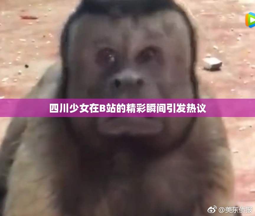 四川少女在B站的精彩瞬间引发热议