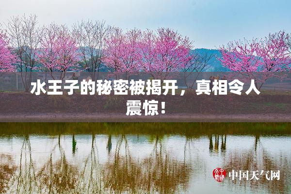 水王子的秘密被揭开，真相令人震惊！