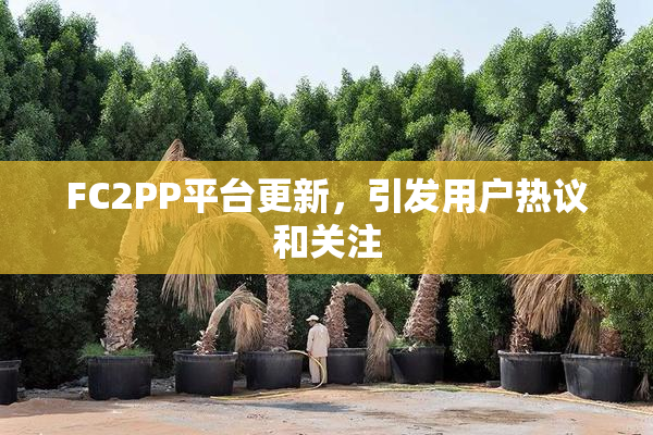 FC2PP平台更新，引发用户热议和关注