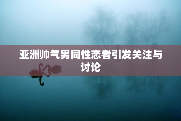 亚洲帅气男同性恋者引发关注与讨论