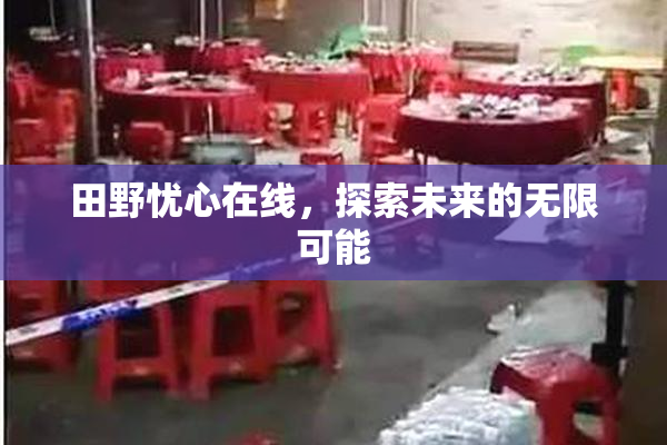 田野忧心在线，探索未来的无限可能